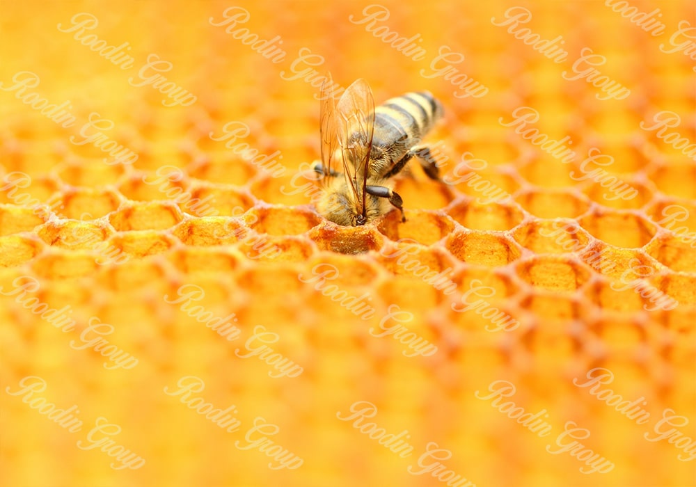 Bulk honey producers