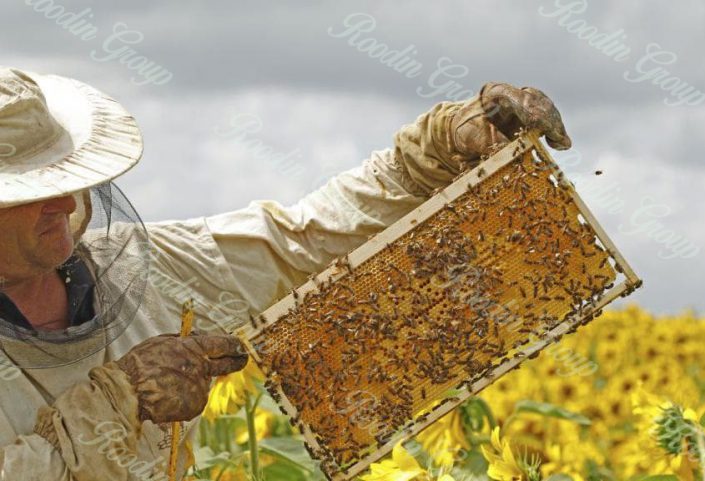 new world honey farm
