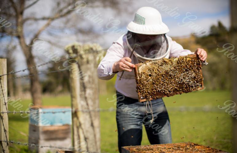 honey and beekeepers