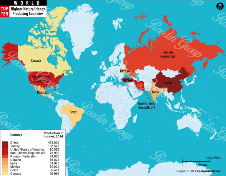 Biggest Honey Producer Company of the World + Honey Producer Countries