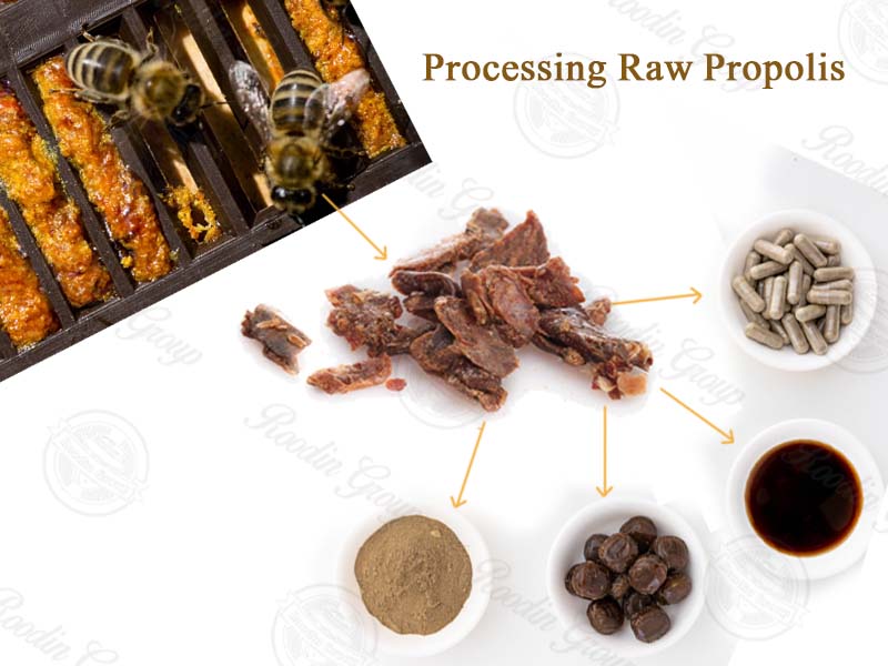 raw propolis extraction